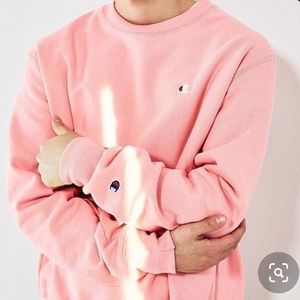 Champion Sweatshirt🍧